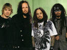 Korn �� dvd.�������� Korn �� DVD