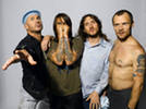 Red Hot Chili Peppers  dvd. Red Hot Chili Peppers  DVD