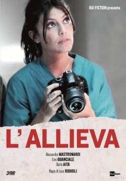 ������ ������� �� DVD