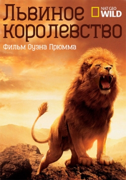 ������ ������� ����������� �� DVD