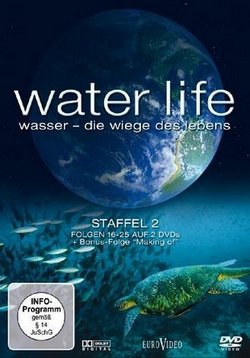 ������ ������ ����� �� DVD