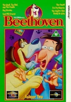 ������ �������� �� DVD