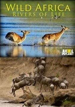 ������ ����� ���� ������ �� DVD