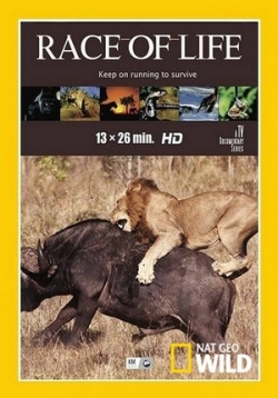 ������ ����� ����� �� DVD