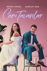 ������ ���������� ������� �� DVD