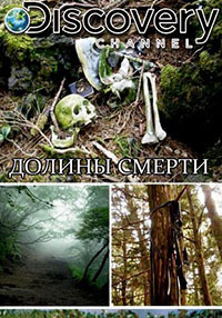 ������ ������ ������ �� DVD