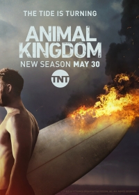 ������ �� ������� ������� �� DVD
