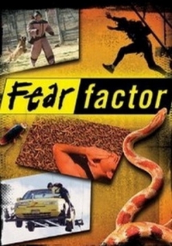 ������ ������ ������ �� DVD