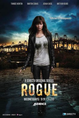 ������ ������ �� DVD