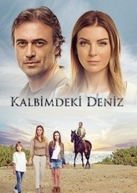 ������ ����� � ��� ������ �� DVD