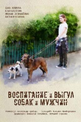 ������ ���������� � ����� ����� � ������ �� DVD