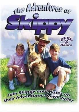 ������ ����������� ������ �� DVD