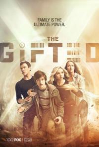������ �������� �� DVD