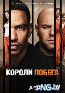������ ������ ������ �� DVD