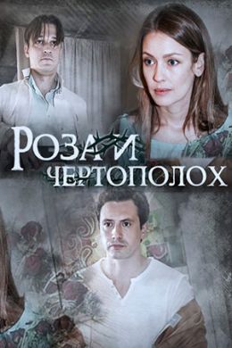 ������ ���� � ���������� �� DVD