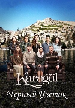 ������ ׸���� ������ �� DVD