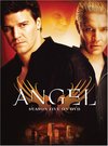 ������ ����� �� DVD