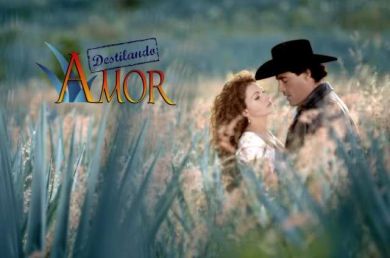 ������ ��������� ������ �� DVD