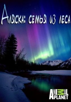 ������ ������ ����� �� ���� �� DVD