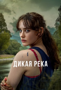������ ����� ���� �� DVD