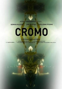 ������ ���� �� DVD