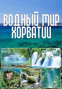 ������ ������ ��� �������� �� DVD