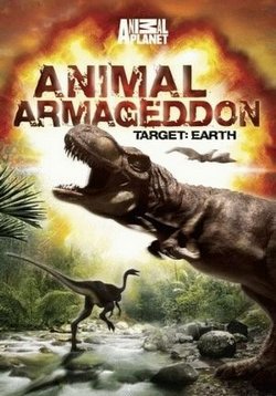 ������ ���������� �������� �� DVD