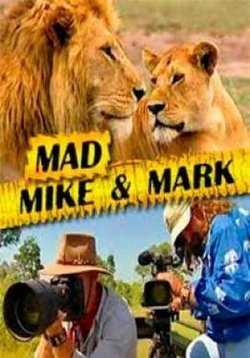 ������ �������� ���� � ���� �� DVD