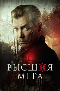 ������ ������ ���� 2024 �� DVD