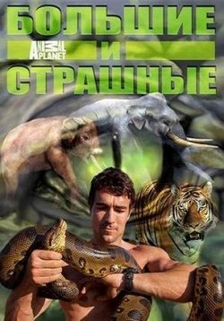 ������ ������� � �������� �� DVD