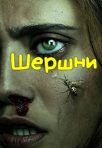 ������ ������ �� DVD