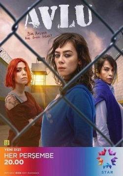 ������ ���� �� DVD