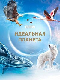 ������ ��������� ������� �� DVD