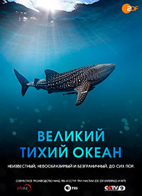 ������ ������� ����� ����� �� DVD