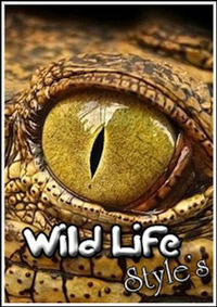 ������ ����� �� ������� ������� �� DVD