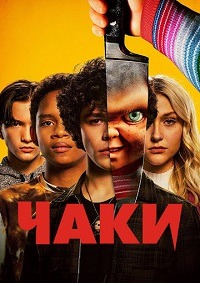 ������ ���� �� DVD