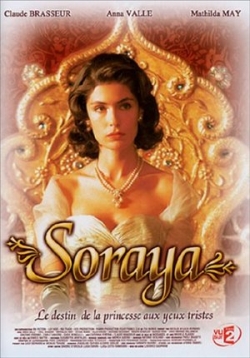 ������ ����� �� DVD
