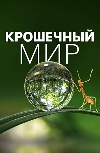 ������ ��������� ��� �� DVD