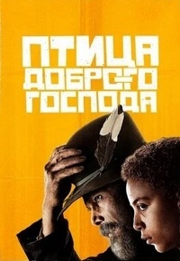 ������ ����� ������� ������� �� DVD