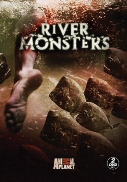 ������ ������� ���� �� DVD
