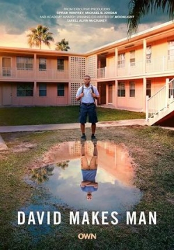 ������ ����� ���������� �������� �� DVD