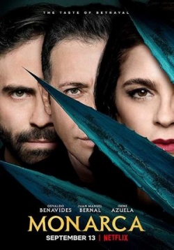 ������ ��������� �� DVD