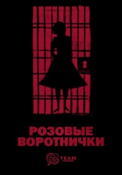������ ������� ���������� �� DVD