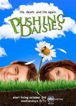 ������ ������� �� ������������� �� DVD