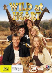 ������ ������������� �� DVD