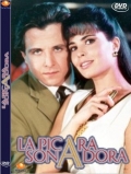 ������ �������������\La pícara soñadora �� DVD