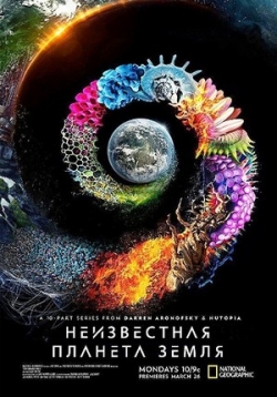 ������ ����������� ������� ����� �� DVD