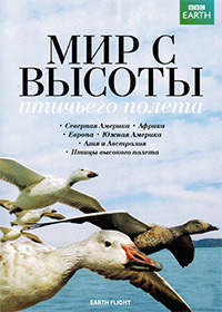 ������ ��� � ������ �������� ����� �� DVD