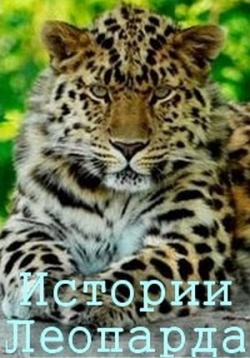 ������ ������� �������� �� DVD