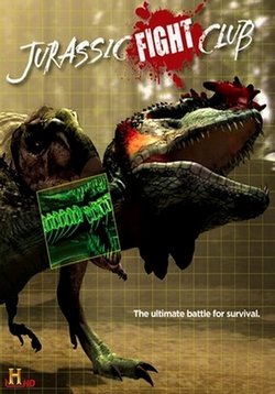 ������ ����� ������� ������� �� DVD